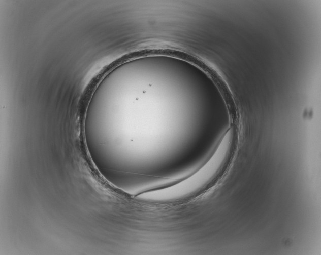 X0000111780973200907301117
