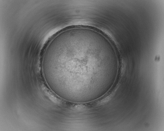 X0000111780974200907301117