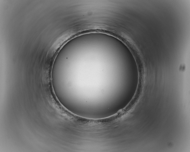 X0000111780977200907301117
