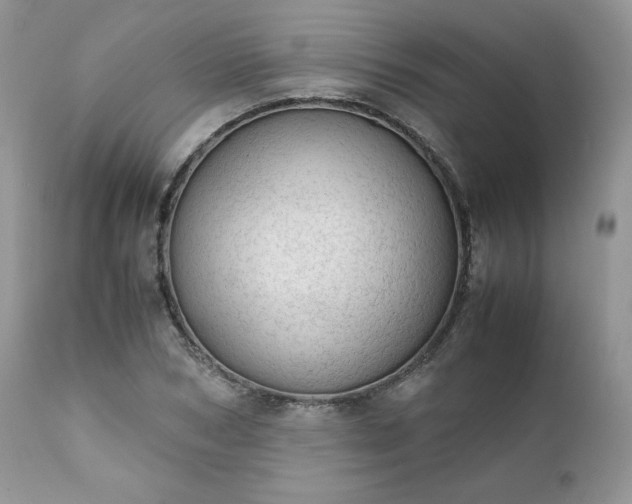X0000111780978200907301117