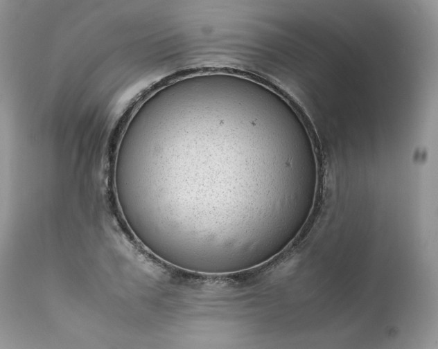 X0000111780979200907301117