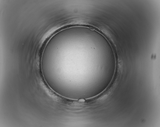 X0000111780981200907301117