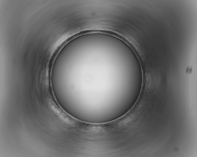 X0000111780982200907301117