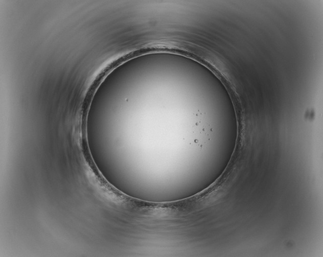 X0000111780984200907301117