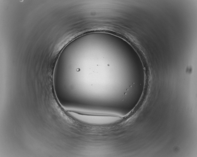 X0000111780985200907301117