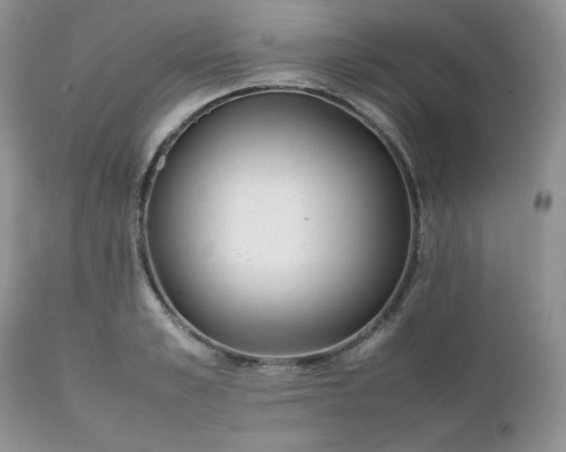 X0000111780989200907301117