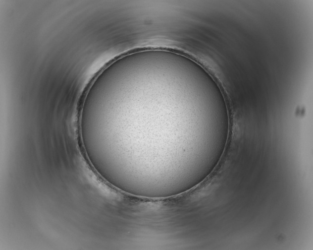 X0000111780990200907301116