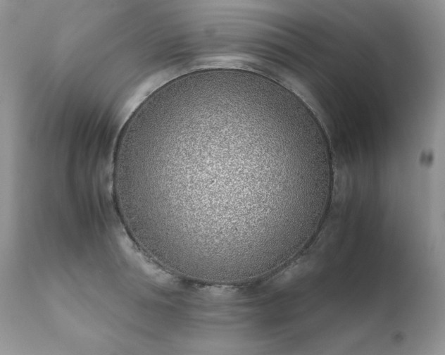 X0000111780994200907301116