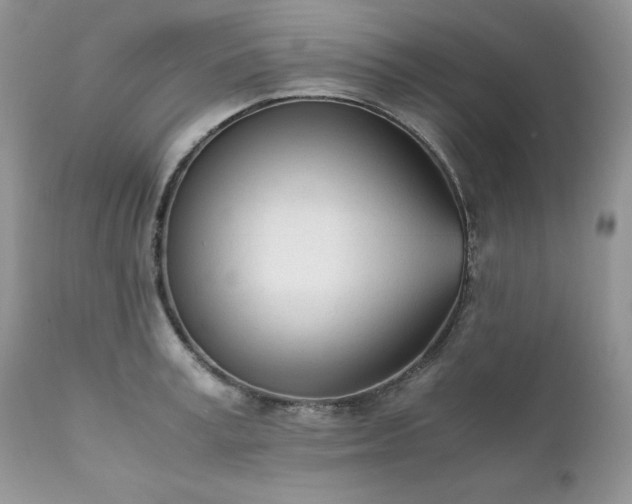 X0000111780995200907301116