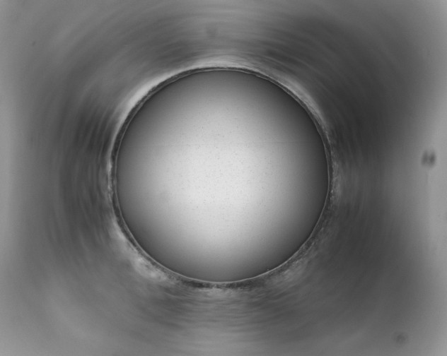 X0000111780996200907301116
