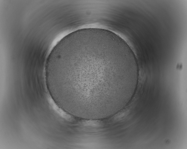 X0000111780998200907301116