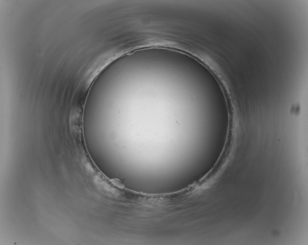 X0000111781001200907301116