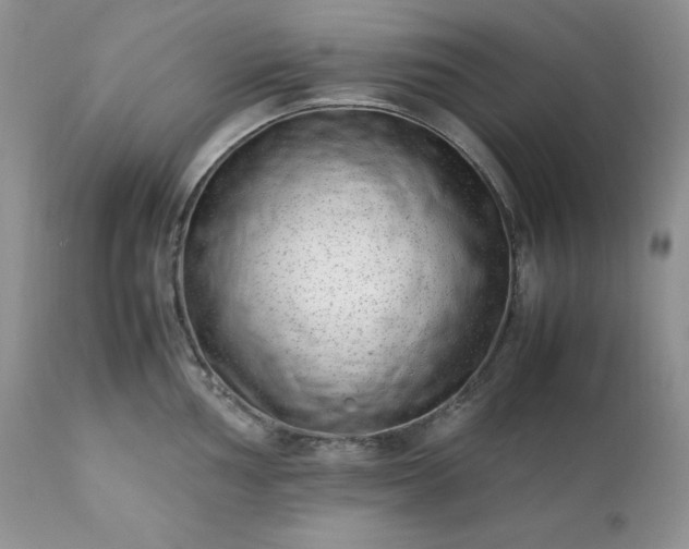 X0000111781002200907301116