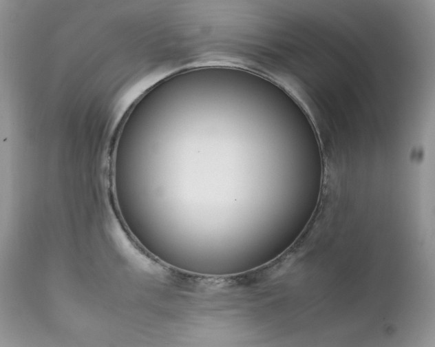 X0000111781003200907301116
