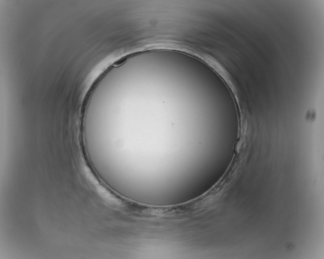 X0000111781005200907301116