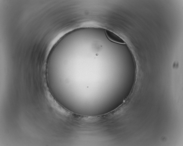 X0000111781008200907301116