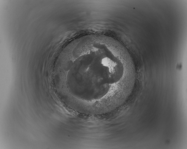 X0000111781009200907301116