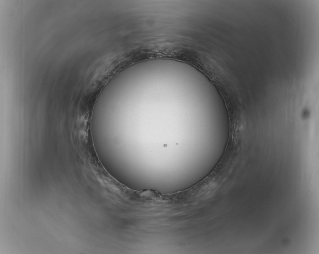 X0000111781010200907301116