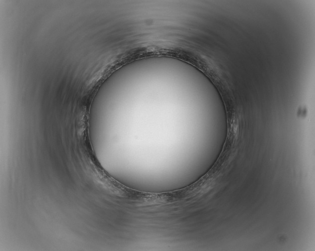X0000111781012200907301116