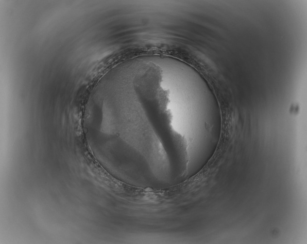 X0000111781013200907301116