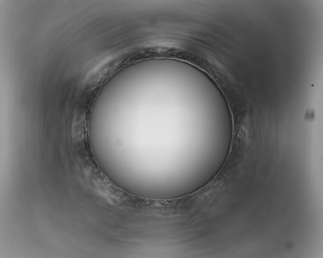 X0000111781014200907301116