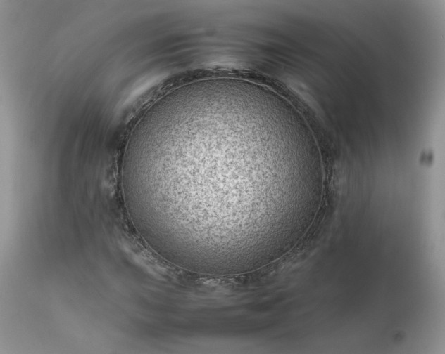 X0000111781015200907301116