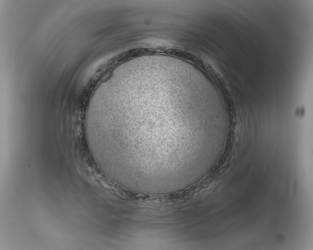 X0000111781016200907301116