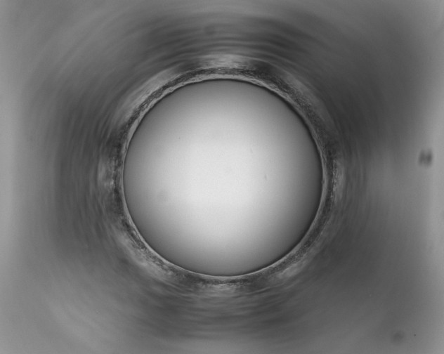 X0000111781017200907301116