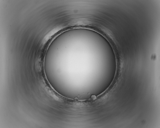 X0000111781018200907301116