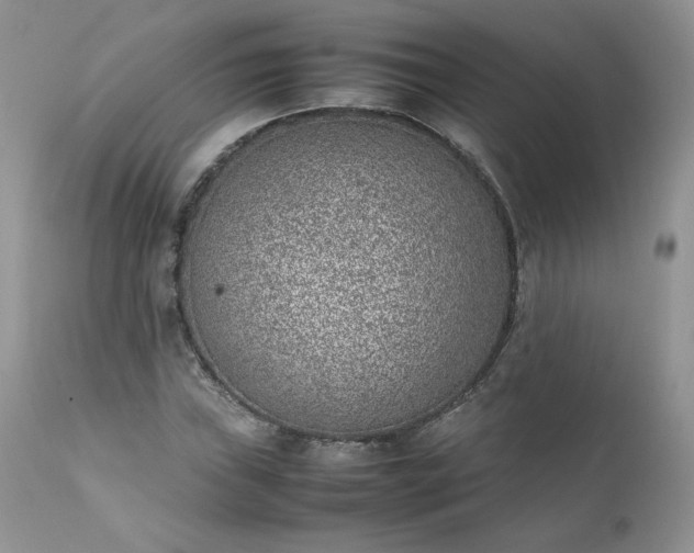 X0000111781019200907301116