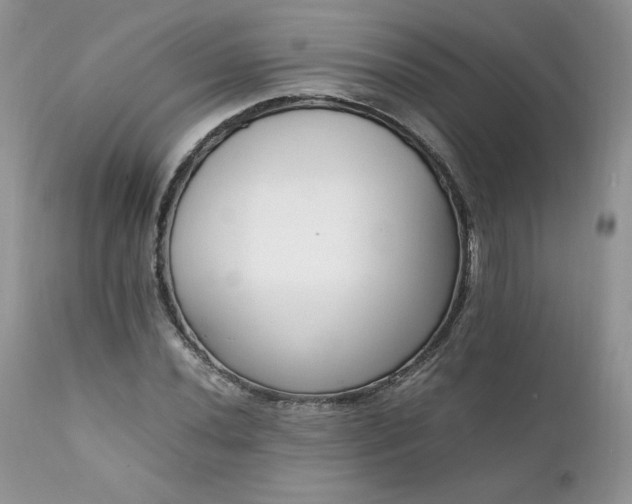 X0000111781020200907301116