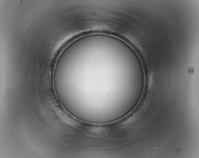 X0000111781021200907301116