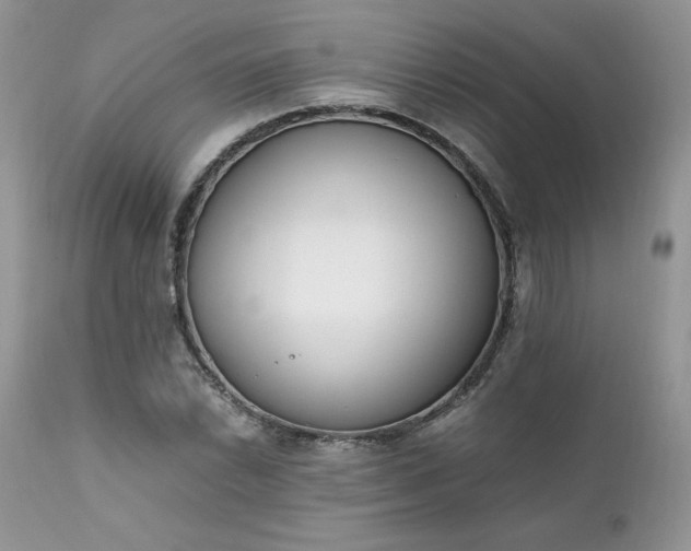 X0000111781022200907301116