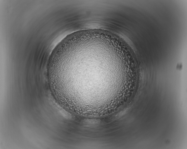 X0000111781023200907301116