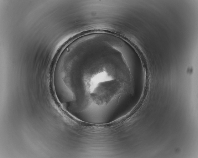 X0000111781024200907301116