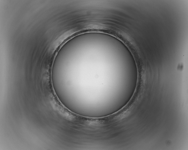 X0000111781025200907301116