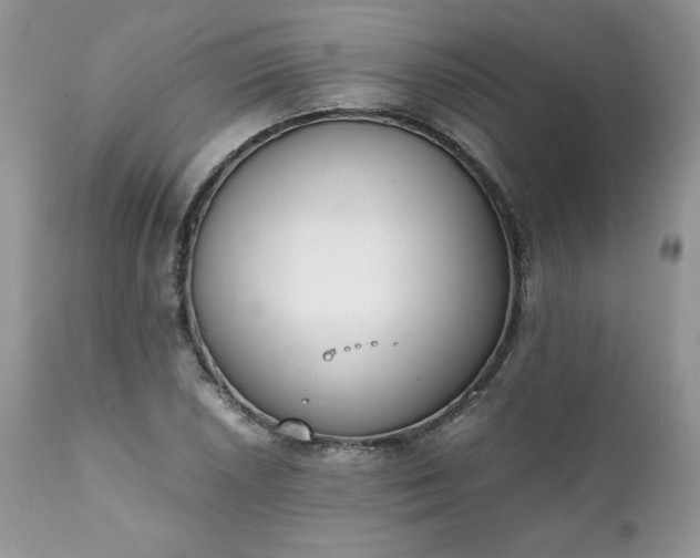 X0000111781026200907301116