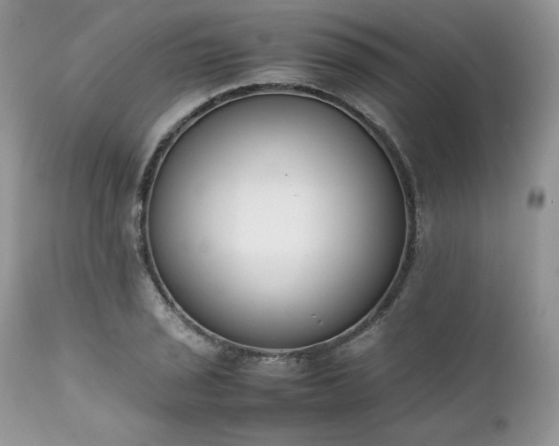 X0000111781029200907301116