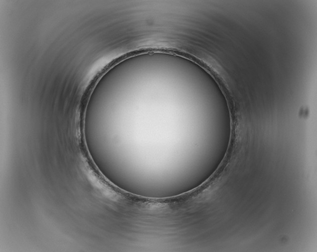 X0000111781030200907301116
