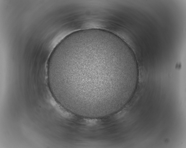 X0000111781031200907301116