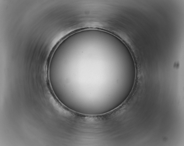 X0000111781032200907301116