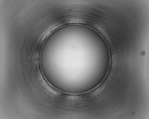X0000111781033200907301116