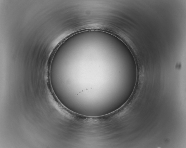 X0000111781034200907301116