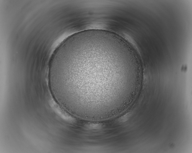 X0000111781035200907301116