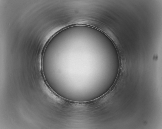 X0000111781036200907301116