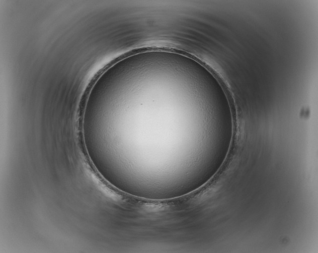 X0000111781037200907301116