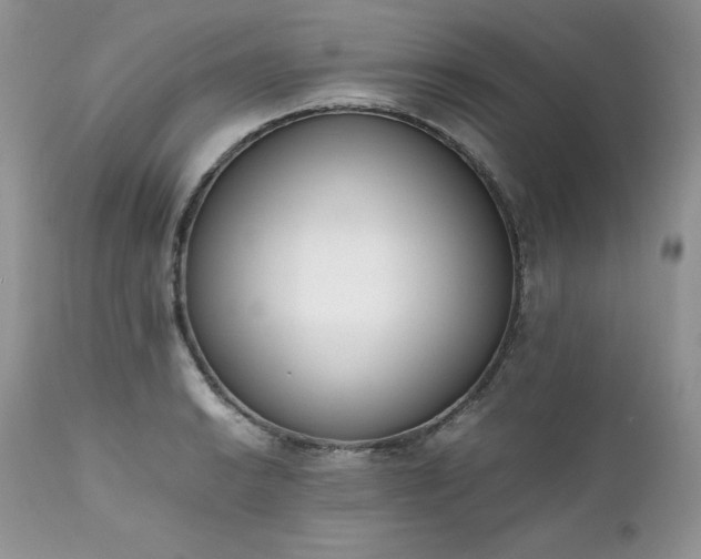 X0000111781038200907301116