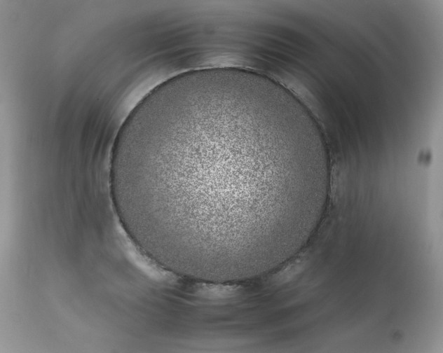 X0000111781039200907301116