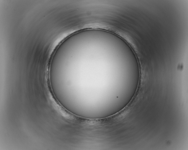 X0000111781040200907301116