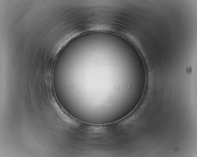 X0000111781041200907301116